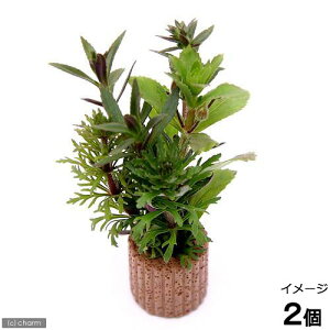 ijCt}`ijmtB~bNXitji_ji2j