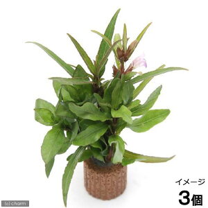 ijCt}`ijnCO~bNXitji_ji3j