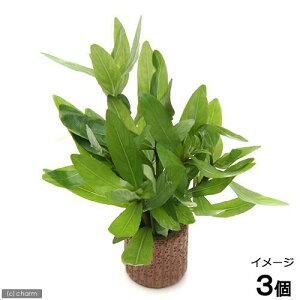 ijCt}`ijnCOtB@|Xy}itji_ji3j