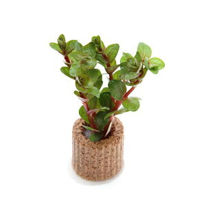 ijCt}`ij^@gfBtHA@R^itji_ji3j