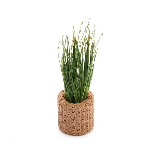 ijCt}`ijwA[OXitji_ji3j