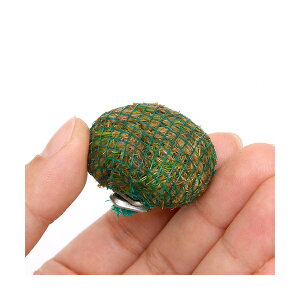 ijā@wA[OX@{[itji_ji1j