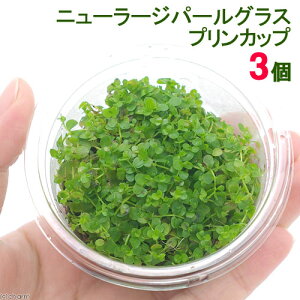 ijj[[Wp[OXitjvJbvi_ji3j@kCEBq֗vۉ