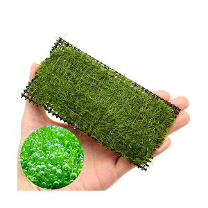 ijā@VA@NbVitji_ji1j@kCEBq֗vۉ