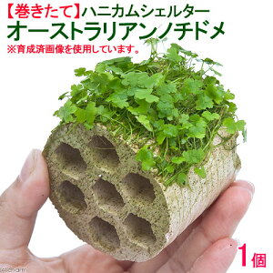 ijā@njJVF^[I[XgA@m`hitji_ji1j