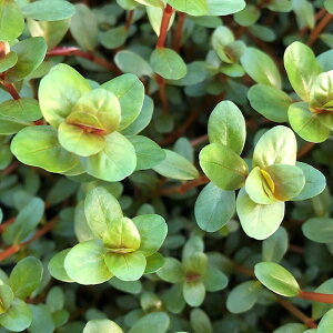 ij^@gfBtHA@xgi@Hfraitji_ji10{j