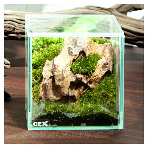 (観葉植物)GEX グラステリア フィット 100CUBE 気孔石 レイアウト完成品(1個)