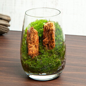 iϗtAjۃeE@ؖ@OX@CAEgii1j@RPeE@ۃe@RPe@ہ@CeA