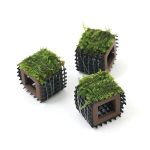 ijā@tGr̉BƁ@ăEB[Xitji_ji1j