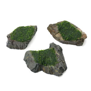 ijā@EB[X@R΁@STCYi10cmjitji_ji3j