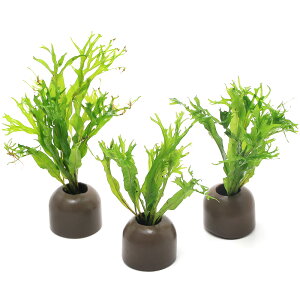 ij[ICgOiO[j~N\E@EFfBti3j