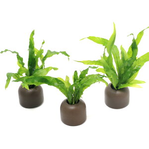 ij[ICgOiO[j~N\E@vevX@i[i3j