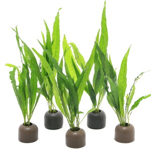 ij[ICgOiO[j~N\E@vevX@\[h[ti5j