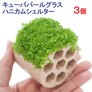 ijā@L[op[OX@njJVF^[itji_ji3j