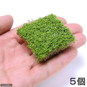 ijL[op[OXitjL[u^Cvi4cmji_ji5pbNj