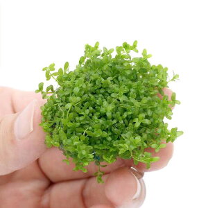 ij琬ρ@L[op[{[itji_ji3j