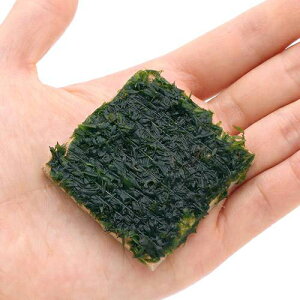 ijā@ISo[X@^Ci_ji1j