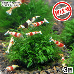 ij琬ρ@EH[^[tFU[{[i_ji3j