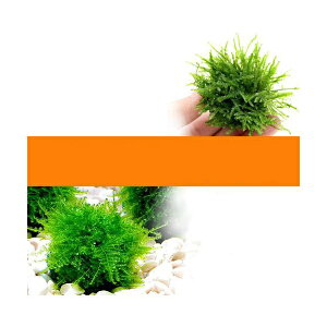 ijlC̈琬σX{[@2_Zbgitji_jie1j