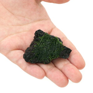 楽天市場 水草 巻きたて ウィローモス 富士ノ溶岩石 ミニサイズ 約４ ６ｃｍ 無農薬 １個 Charm 楽天市場店