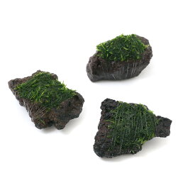 楽天市場 富士 溶岩石 販売 水槽 アクアリウム内装 熱帯魚 アクアリウム ペット ペットグッズの通販 楽天市場 富士 溶岩石 販売 水槽 アクアリウム内装 熱帯魚 アクアリウム ペット ペットグッズの通販