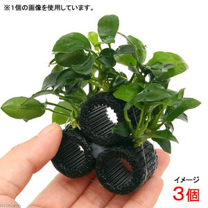 ij}`OubNijiiv`Re[Witji3j