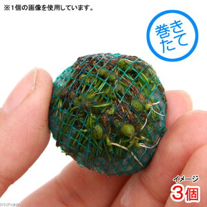 ijā@Ni^{[itji_ji3j