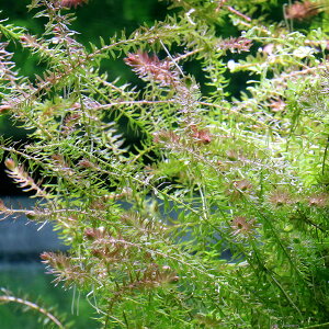 ij}JspDpOAbhitji_ji3{j