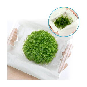 ijEB[X[WVAitji1Zbgj@kCEBq֗vۉ