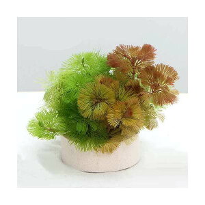 ij_JE@njJVF^[@J{o~bNX@~ji1j