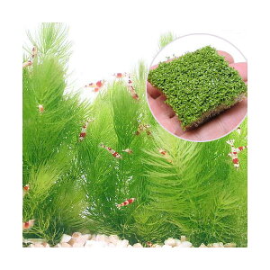 ijL[op[@L[u^Cv{}ci5{ji_ji1Zbgj