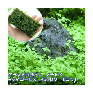 ijI[XgA@m`hitji1pbNj{琬ρ@EB[X@NbVitji1j