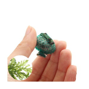 ijā@{reBX@qfBeB@{[itji_ji3j