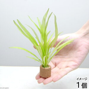 ijCt}`ij`F[A}]itji_ji1j