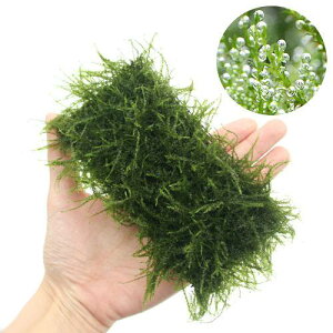 ij琬ρ@ouX@NbVitji_ji3j