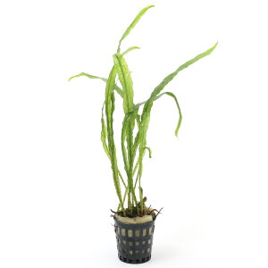 ij~j|bg@~N\E@Z~i[itji_ji1|bgj