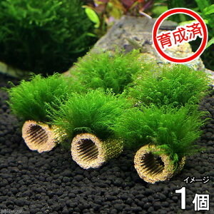 ij琬ρ@Ct}`ijEH[^[tFU[itji_ji1j