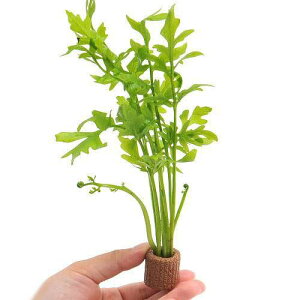 ijCt}`ijEH[^[XvCgitji_ji2j