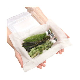（水草）ザリガニのおやつ　鉛巻き水草　おまかせ3種（無農薬）（1セット）ザリガニ