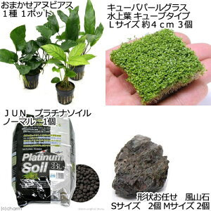 ijL[op[OX܂AkrAX@R΃CAEgZbg