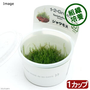 ijgD|{1|2|GROWI@WXit̔|njgsJi_ji1Jbvj@kCEBq֗vۉ