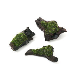 ijā@EB[X@~bNX@؁@SSTCYi10cmjitji_ji3{j