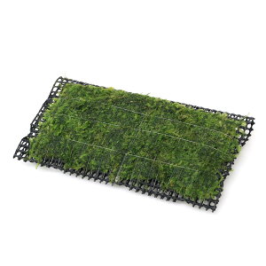 ijā@ăEB[X@NbVitji_ji1j