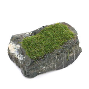 ijā@ouX@R΁@MTCYi14cmjitji_ji1j