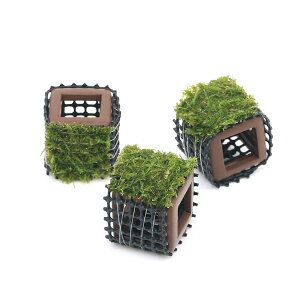 ijā@tGr̉BƁ@ouXitji_ji1j