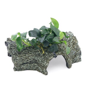 ijAkrAXii@v`@o[NVF^[@STCYitji1j