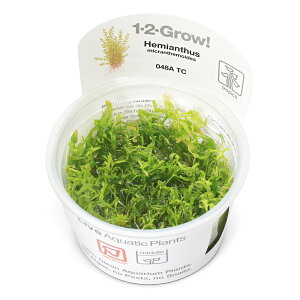 ijgD|{1|2|GROWI@p[OX@gsJi_ji1Jbvj@kCEBq֗vۉ