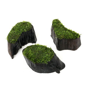 ijā@ăEB[X@؂芔؁@~jTCYitji_ji3j