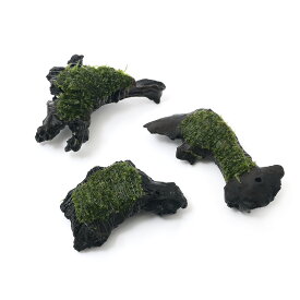 楽天市場 チャーム アクロ 苔 モス 水草 水槽 アクアリウム内装 熱帯魚 アクアリウム ペット ペットグッズの通販