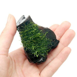 ijā@VA@؁@~jTCYi8cmȉjitji_ji5{j@kCEBq֗vۉ